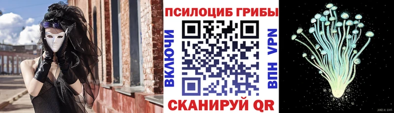 что такое   Ленинск-Кузнецкий  Галлюциногенные грибы мицелий 